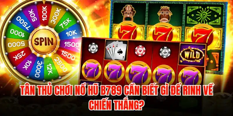 Tân thủ chơi nổ hũ B789 cần biết gì để rinh về chiến thắng?