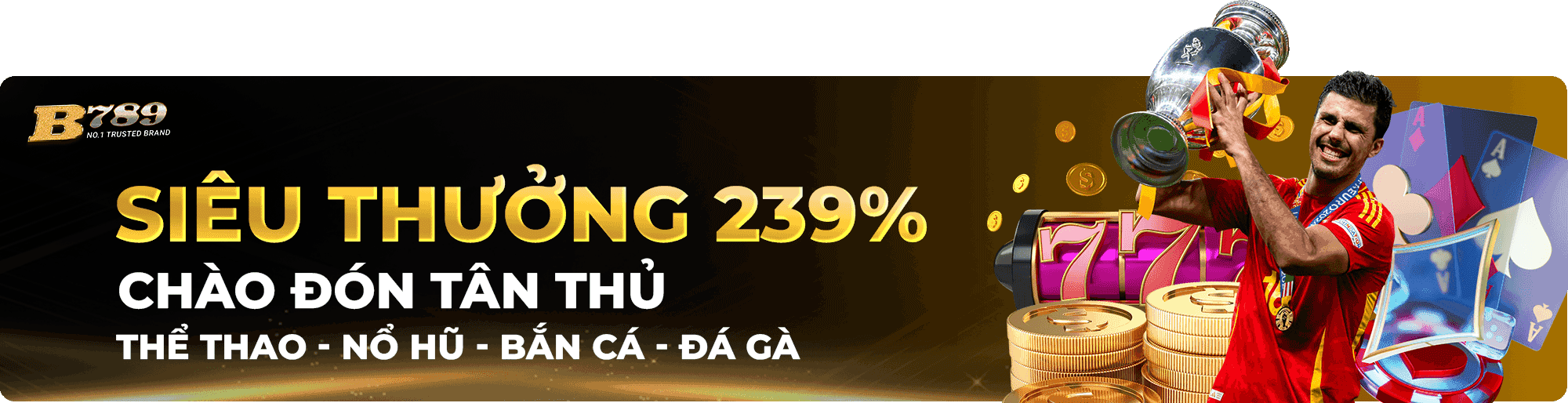 B789 banner homepage